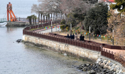 [신팔도유람]  마산 돝섬 나들이…돼지코 만지면 福 2배 1천여명 북적