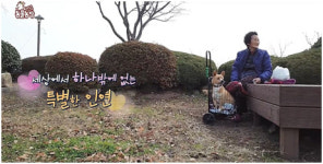 [박순석의 동물병원 24시] 하반신 마비된 봉이의 재활 스토리