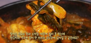 파김치장어 맛집 서산 해미 산수파김치장어 생방송투데이 오늘방송맛집 서산 여행 코스로 등장 위치 어디?