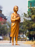 [3·1운동 100주년, 다시 일어나는 대구경북] 대구와 구미 평화의 소녀상