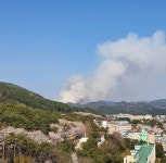 [현장사진] 운봉산 산불 부산 반송동 동부산대학교, 반송여자중학교, 운송중학교 인근