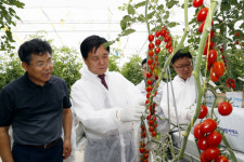 [상주 농업의 미래 활짝 열리다]  경북 유일 '스마트팜 혁신밸리' 조성