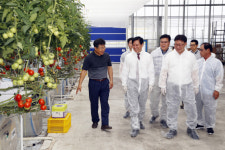 [상주 농업의 미래 활짝 열리다] <하> 경북 유일 스마트팜 혁신밸리 조성