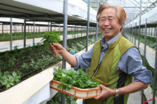 무역왕 애드워드 정…경북 봉화에서 새싹삼으로 새로운 인생