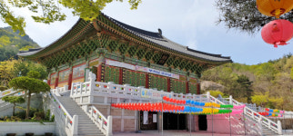 [부처님오신날] 대구 팔공산 도림사