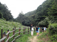 경북 칠곡군 한티가는길, 한국의 산티아고길로 전국 입소문