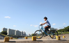[대구를 대중교통 친화도시로] <下> 승용차 대신 자전거로 교통·환경·에너지 세 마리 토끼 잡자