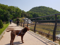 [강추! 대구경북 애견동반 산책길 50] <10>운암지 수변공원