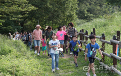 경북 칠곡 한티가는길 달빛잔치 성황리에 개최