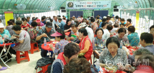 대구  어울림무료급식후원회 삼계탕 나눔 행사