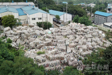 경북 경산에서 사업장폐기물 배출자 신고 업체,  쓰레기 산 만들어