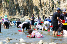 주말에 다슬기 주으러 경북 청송으로 오세요~ 3일 제10회 청송 다슬기 줍기 행사 안덕면 지소리 길안천에서