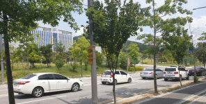 주변 도로 막히든 말든…경북경찰청 앞 특혜 신호