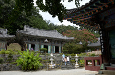 [흥] 그대, 지금 모습이 가장 좋습니다…지리산 흘러내린 산청