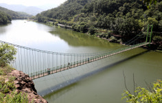 [흥]해바라기 장관... 아라가야의 땅 경남 함안