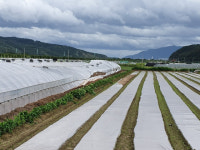 제13호 태풍 링링 서해안 관통, 강풍으로 경북 곳곳에 생채기