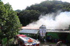 경북 문경 돼지축사 알 수 없는 불, 1천마리 희생