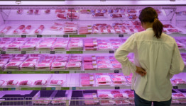 돼지열병 확산에 대구 내 돼지고기 값 오름세 보여