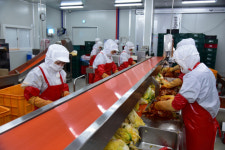 봉화 한방김치, 미국 LA 첫 수출…연 500t 계약