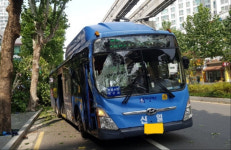 대구 남산동서 시내버스 가로수 들이받아 4명 경상