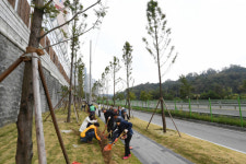경북 영주시, 산의 날 주민과 함께하는 도시녹화 캠페인 벌여