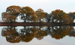 [흥] 가을과 겨울 사이, 대구경북 단풍 명소는?