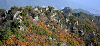 [흥]합천 매화산 & 해인사