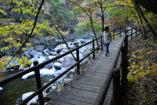 [흥]합천 매화산 & 해인사