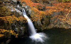 [흥]합천 매화산 & 해인사