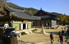 [흥]합천 매화산 & 해인사