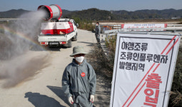 경산 금호강 AI 항원 검출따라 가금류 이동 제한과 방역 실시