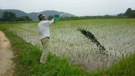 NH농협 영천시지부, 지역 농가소득 증대 위한 다양한 지원사업 추진