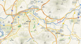 [화보] 대구 수달 너무 귀여워! 타지역 구조 2마리 금호강 방사