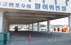건어물중매인115호 | "60년 중매인 생활, 올해처럼 오징어 없기는 처음"