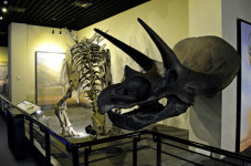 하늘 지배한 익룡에 입이 쩍~…경남 고성·진주