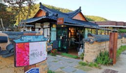 동해 전망대…개구리 박물관? 여긴 카페입니다