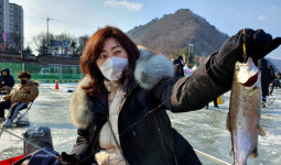 낚싯대 넣기만 해도 입질, 고사리손도 손맛…화천 산천어 낚시
