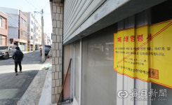 대구 남구 대명동은 어쩌다 신천지촌(村) 됐나…