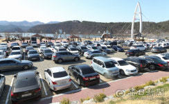 [포토뉴스] 주말 칠곡 동명지 나들이