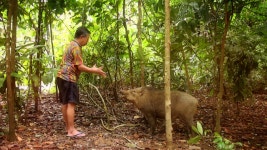 싱가포르 플라우빈 섬에서 만나는 자연생태 만물박사