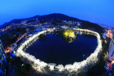 올해는 전국적인 야경명소 연화지 벚꽃 야경 못본다