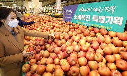 우리가 남이가 메가마트, 대구·경북 농가돕기 눈길