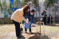 남부산림청, 코로나19 극복의지 담아 매화·돌배나무 심어 기념