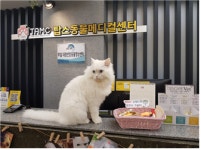 [박순석의 동물병원 24시] 동물병원의 동물스태프 이야기