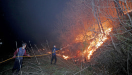 [포토뉴스] 강풍 타고 재확산 하는 안동산불