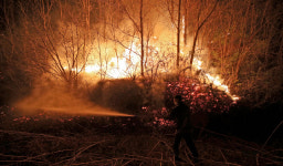 [포토뉴스] 강풍 타고 재확산 하는 안동산불