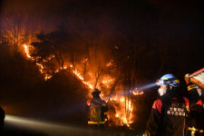 안동 산불에…밤낮없이 화마와 싸운 특수진화대원들