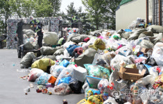 [포토뉴스] 코로나19 여파로 쓰레기 급증...대구 북구 재활용품선별장