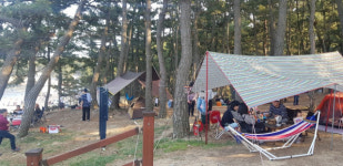 황금연휴 맞아 활기 되찾은 경북, 마스크 잊은 관광객도