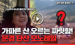 문경 단산, 국내 최장 모노레일 개장…경사 42도의 짜릿함 체험